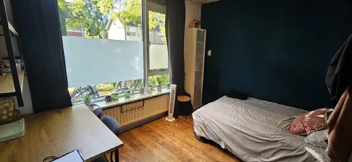 Kamer te huur: Wegalaan, Paddepoel-Noord Groningen
