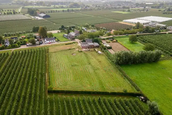Detached house for sale: Wielseweg 29, Verspreide huizen Eck en Wiel Eck En Wiel