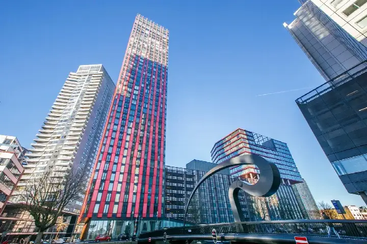 Home for rent: Wijnbrugstraat, Stadsdriehoek Rotterdam