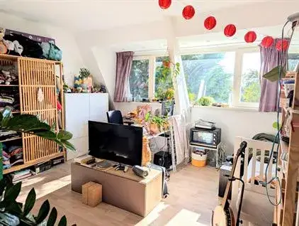 Room for rent: Zijlweg, Veldzigt Haarlem