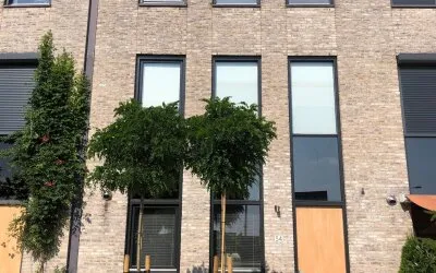 Tussenwoning te huur: Thurlede 54, Tolhek Pijnacker