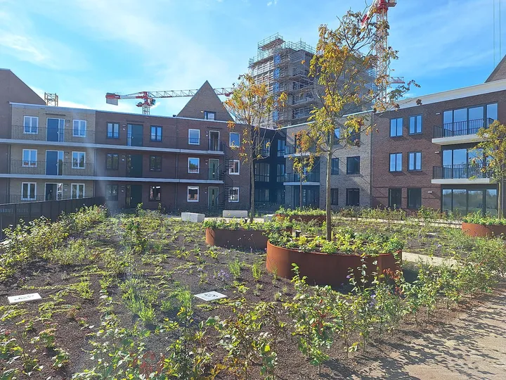 Appartement te huur: Timmerrak 13, Russische buurt Zaandam