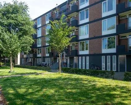 Kamer te huur: Tobias Asserlaan, Westermarkt Tilburg