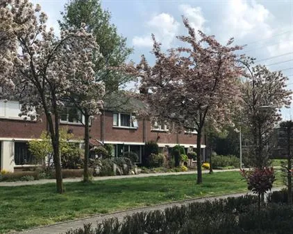 Kamer te huur: Toekomststraat, Tubantia-Toekomst Enschede