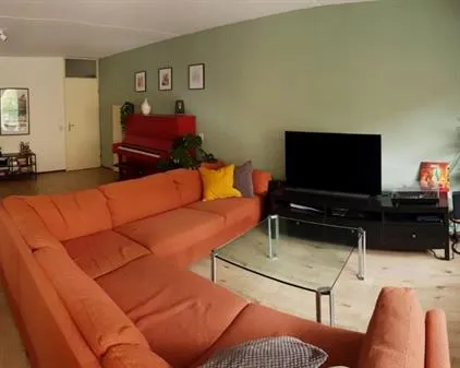 Kamer te huur: Trompenburgstraat, Kromme Mijdrechtbuurt Amsterdam