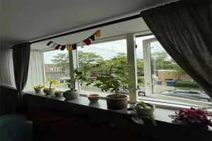 Kamer te huur: Trompstraat, Wipstrik-Zuid Zwolle