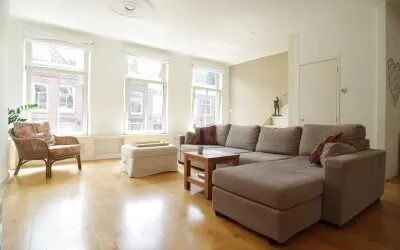 Appartement te koop: Tweede Jan Steenstraat 101-3, Hemonybuurt Amsterdam
