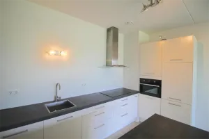 Home for rent: Valkenlaar, Nieuw Wolfslaar Bavel