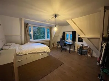 Kamer te huur: Van de Spiegelstraat, Olofsbuurt Delft