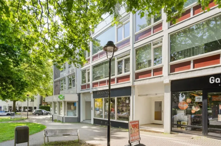Appartement te koop: Van Lawick van Pabststraat 103-2, Burgemeesterswijk Arnhem