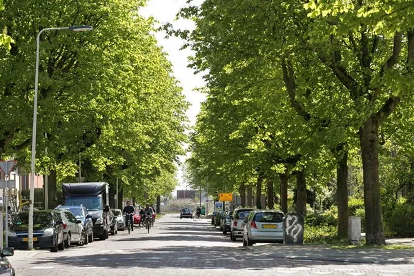 Kamer te huur: Van Oldenbarneveldtstraat, Arnhemse Broek Arnhem