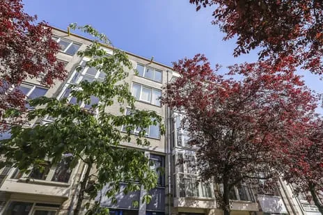 Appartement te koop: Van Ostadestraat 209B, Van der Helstpleinbuurt Amsterdam