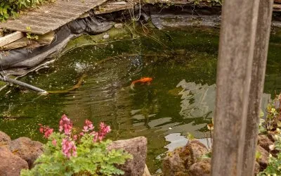 Tussenwoning te koop: Van Zuylen van Nijeveltstraat 6, De Deijl Wassenaar