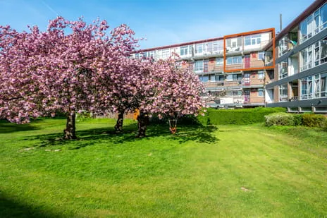 Appartement te koop: Vechtplantsoen 50-3, Schaakbuurt en omgeving Utrecht