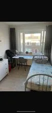 Room for rent: Verwerstraat, Gildebuurt Eindhoven
