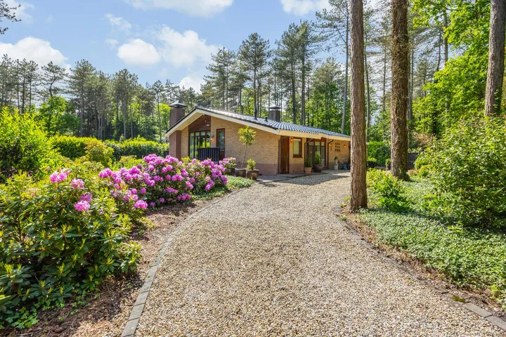Vrijstaande woning te koop: Vianenweg 253, Zomerhuisjesterrein De Borkeld Holten