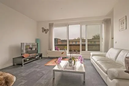 Kamer te huur: Vignolahof, Prinsenland Rotterdam