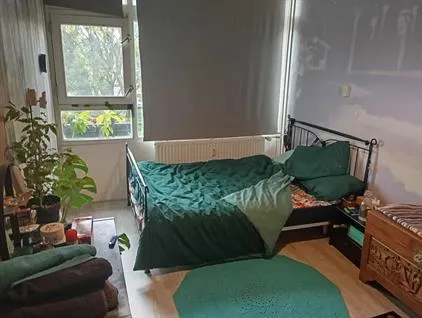 Kamer te huur: Vijfheerenlanden, De Vijfheerenlanden Vianen