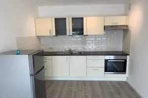 Home for rent: Vijverlaan, St. Janskerkstraat e.o. Arnhem