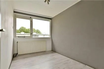 Kamer te huur: Vleerackers, Angelslo Emmen
