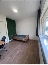 Room for rent: Vleutenseweg, Lombok-West Utrecht