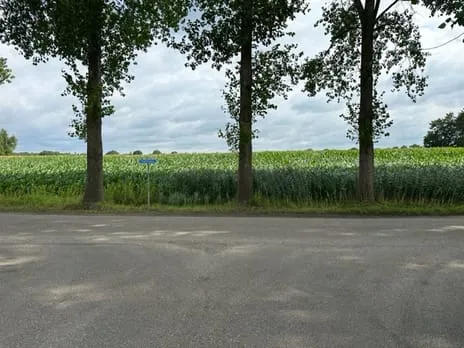 Woning te koop: Vogelenzang, Verspreide huizen ten oosten van Gemonde Gemonde