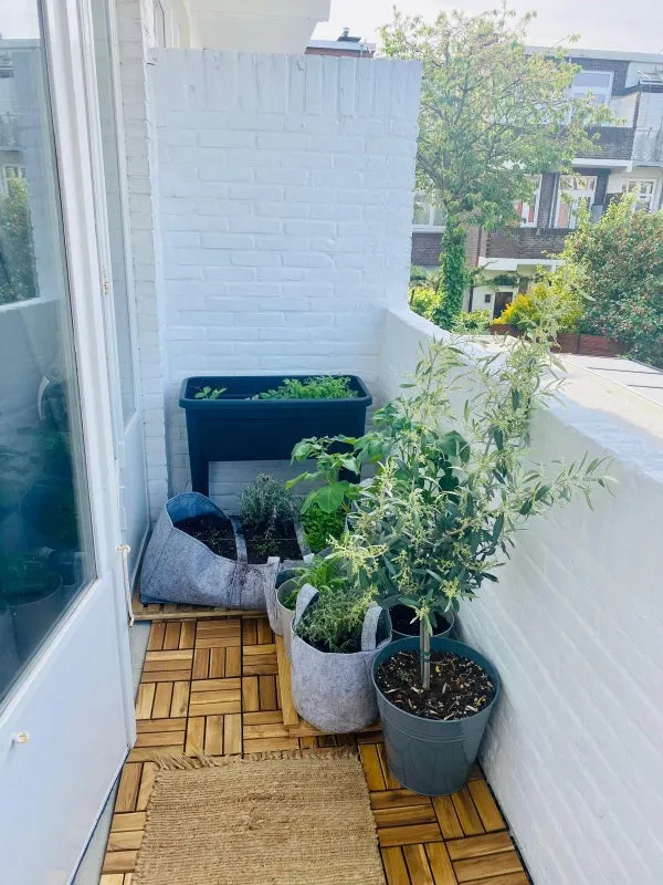 Woning te huur: Voorthuizenstraat, 'S-Gravenhage