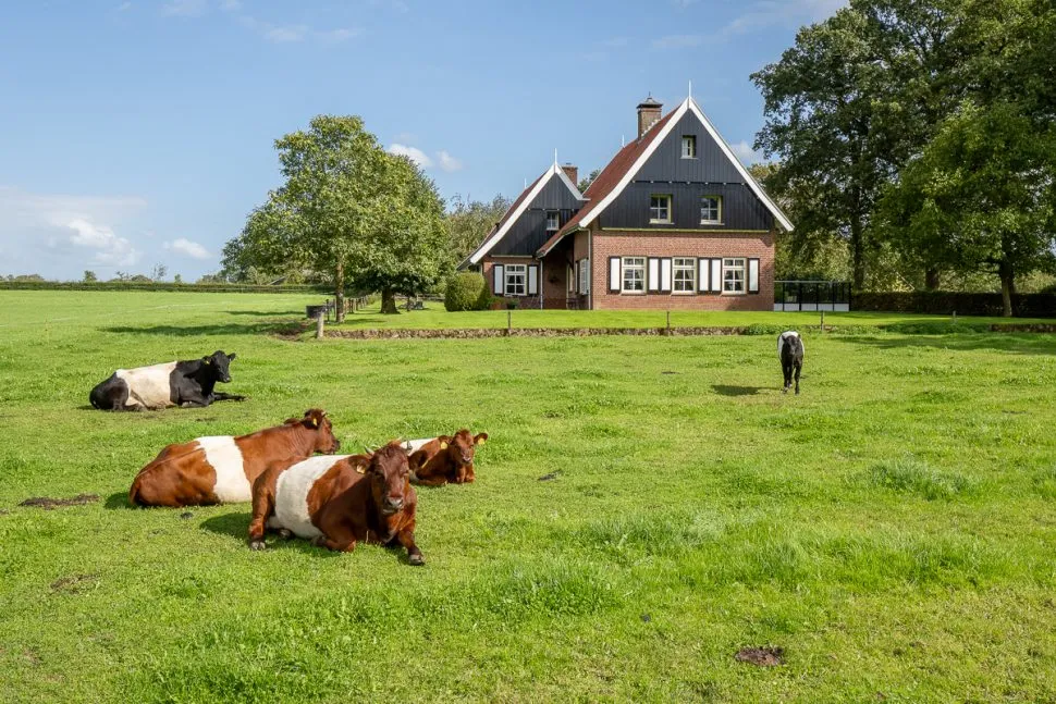 Vrijstaande woning te koop: Voortmansweg 8, Beuningen