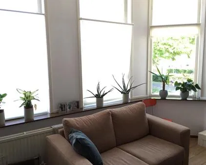 Room for rent: Voorzorgstraat, Leidsebuurt-west Haarlem