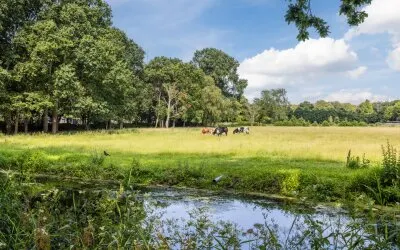 Appartement te koop: Wassenaarseweg 257, Uilennest 'S-Gravenhage