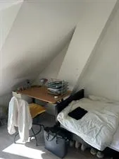 Room for rent: Wassenaarseweg, Uilennest 'S-Gravenhage