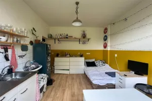 Kamer te huur: Wassenberghstraat, Schildersbuurt Groningen