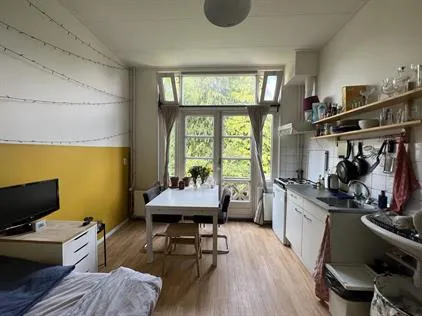Kamer te huur: Wassenberghstraat, Schildersbuurt Groningen