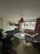 Kamer te huur: Watersnipstraat, Vogelbuurt-West Delft