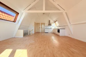 Home for rent: Weimarstraat, Koningsplein e.o. 'S-Gravenhage