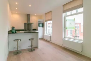 Home for rent: Weimarstraat, Koningsplein e.o. 'S-Gravenhage