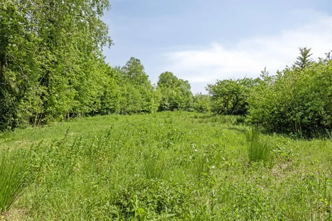 Woning te koop: West, Buitenpost