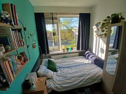 Kamer te huur: Westlandseweg, Delft