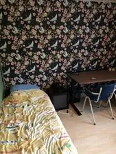 Room for rent: Wethouder Elhorststraat, Boswinkel-De Braker Enschede