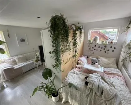 Room for rent: Wielingenweg, De Mare Alkmaar