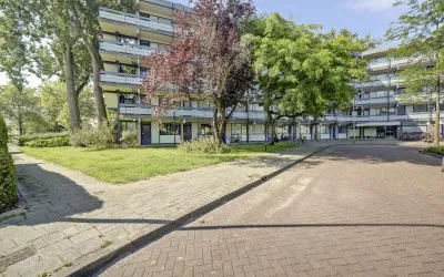 Studio te koop: Wilde Wingerdlaan 43, Windrooskwartier en Heesterbuurt Gouda
