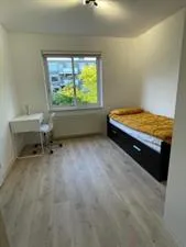 Kamer te huur: Wilgenlaan, Paddepoel-Zuid Groningen