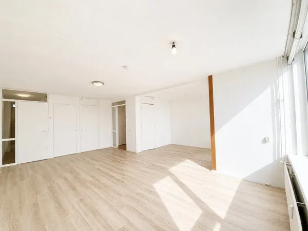 Woning te huur: Wilgenplaslaan, Schiebroek Rotterdam