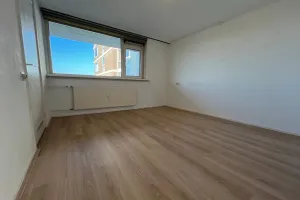 Woning te huur: Wilgenplaslaan, Schiebroek Rotterdam
