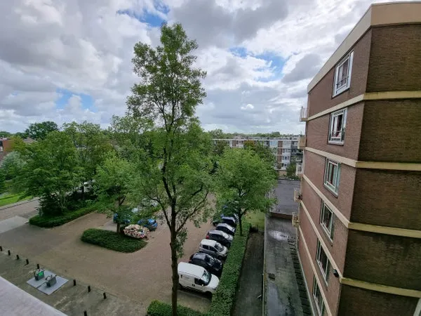 Woning te huur: Wilgenplaslaan, Rotterdam