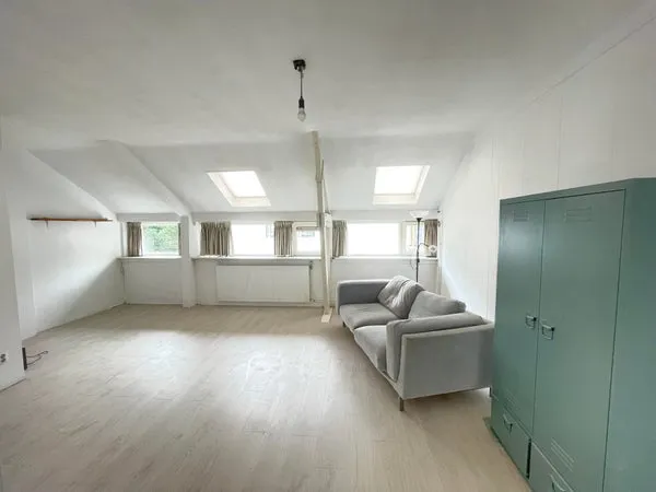 Woning te huur: Wilhelminapark, Koninginnebuurt Haarlem