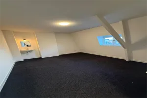 Kamer te huur: Wilhelminapark, Bouwmeestersbuurt Noord Tilburg