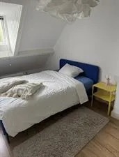 Kamer te huur: Wilhelminasingel, Zandberg Breda