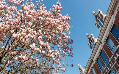 Terraced house for sale: Willem Barentszstraat 11, Zeeheldenbuurt, Hengeveldstraat en omgeving Utrecht