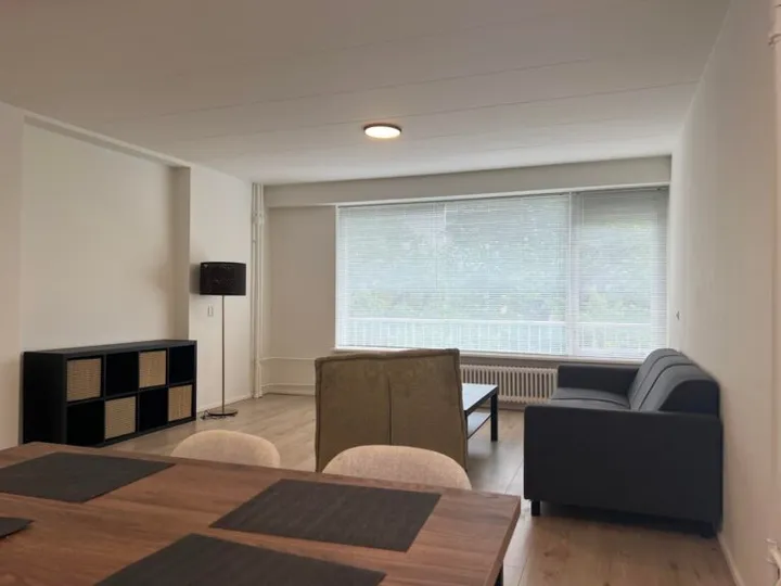 Woning te huur: Willem Landréplein, Van Zantenbuurt Schiedam